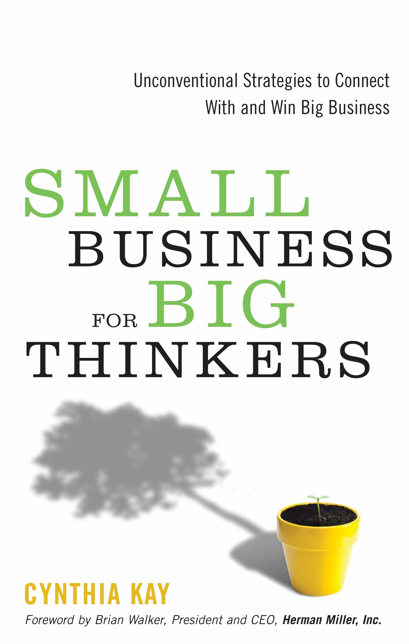 Small Business For Big Thinkers: Unconventional Strategies To Connect With And Win Big Business,Used