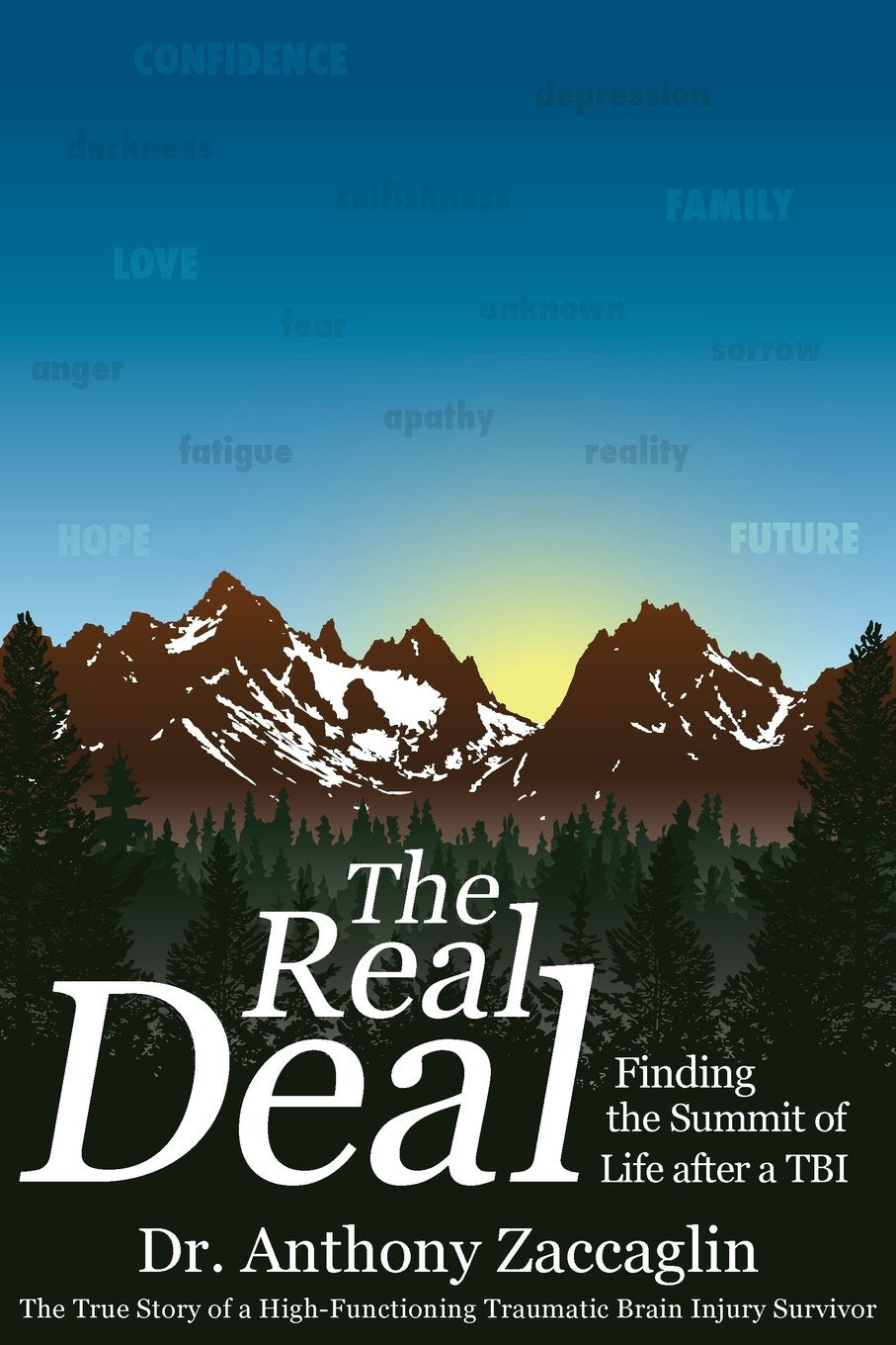 The Real Deal: Finding the Summit of Life after a TBI,Used