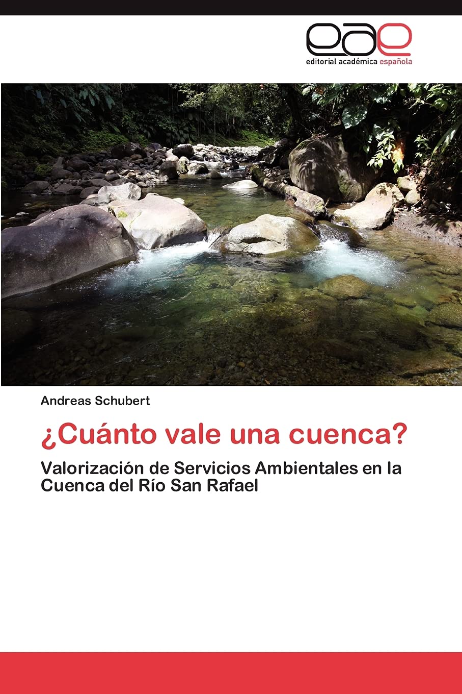 Cunto vale una cuenca?: Valorizacin de Servicios Ambientales en la Cuenca del Ro San Rafael (Spanish Edition),Used