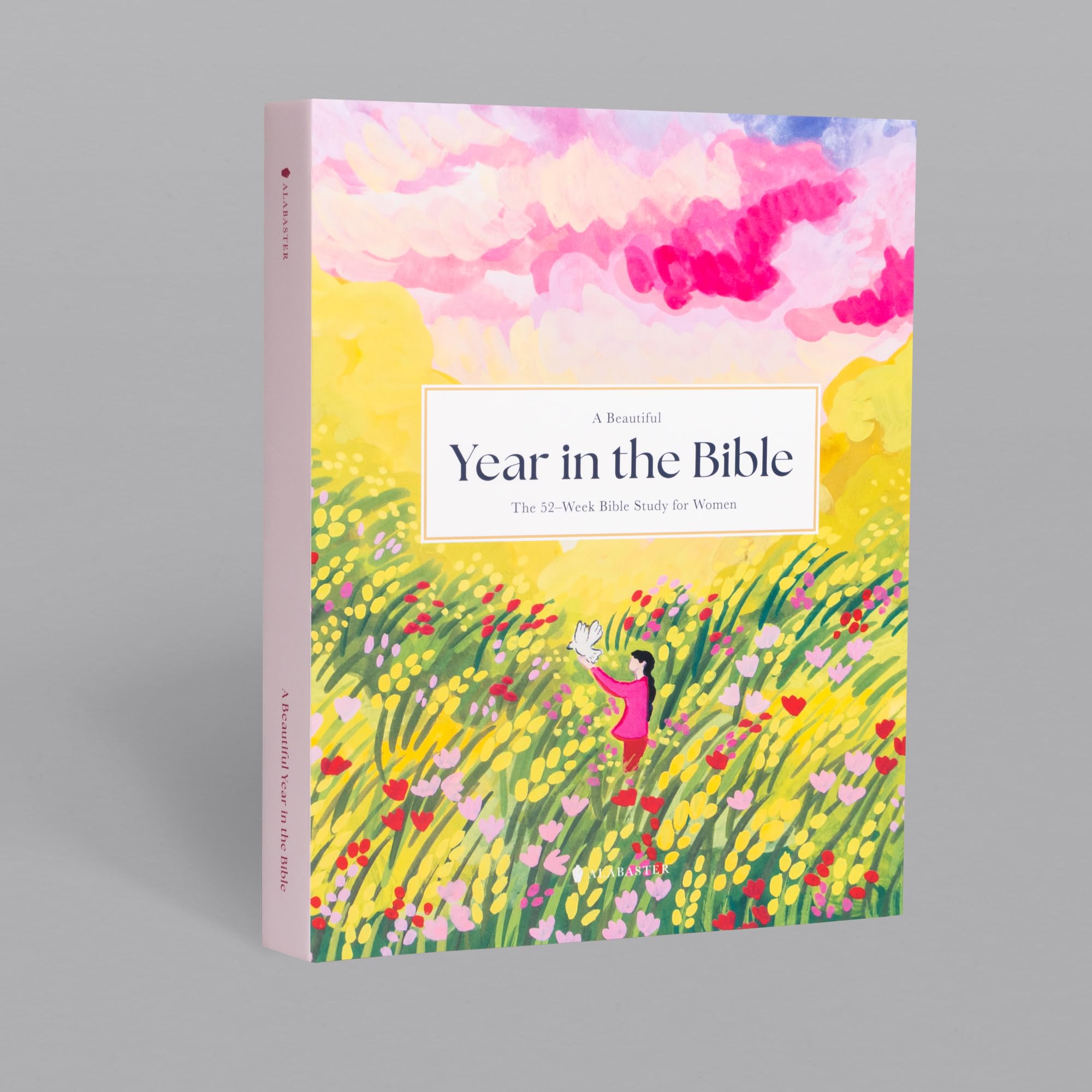 A Beautiful Year in the Bible: The 52Week Bible Study for Women (HC)