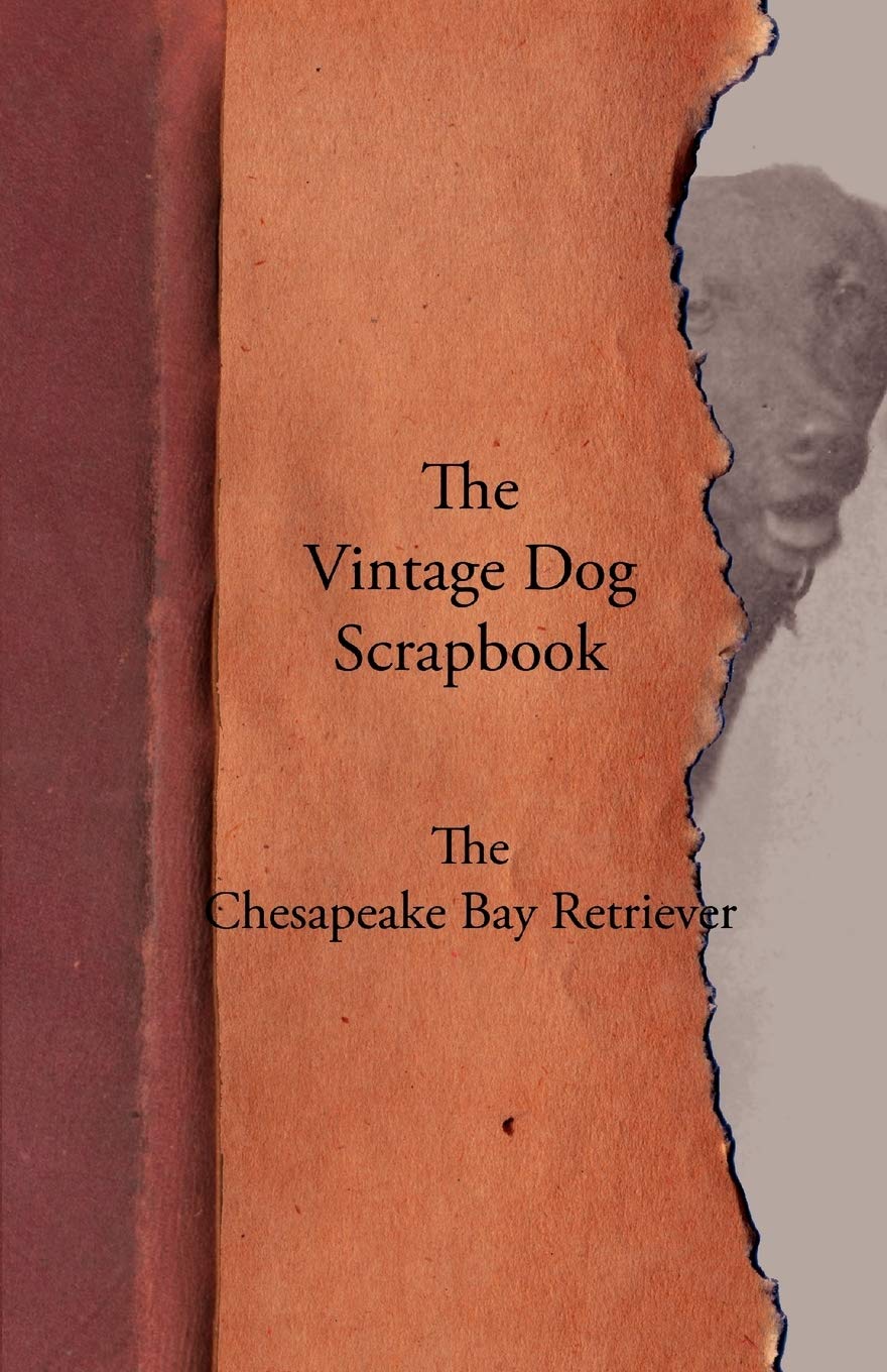 The Vintage Dog Scrapbook  The Chesapeake Bay Retriever,Used