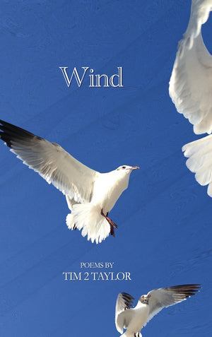 Wind,Used