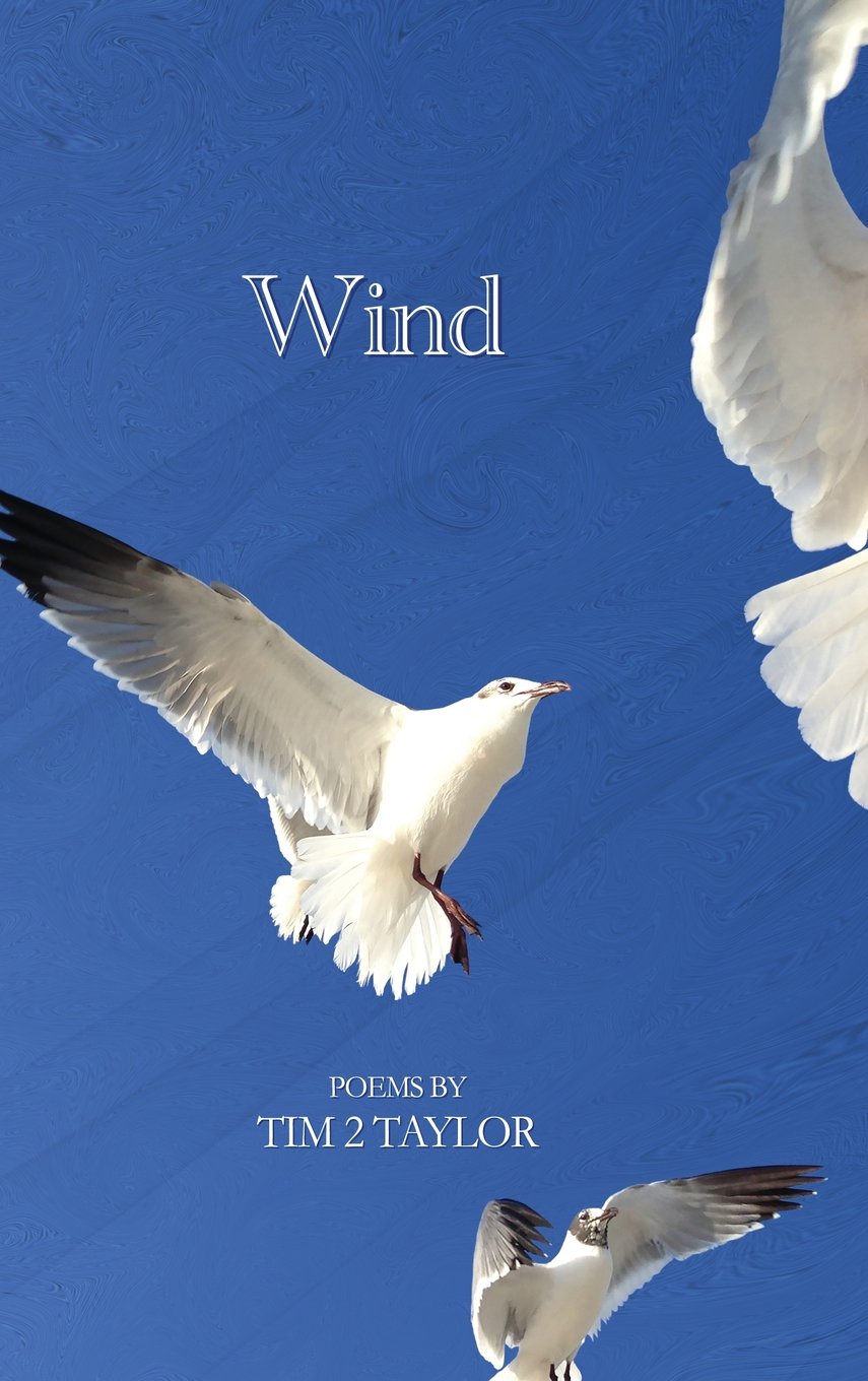 Wind,Used