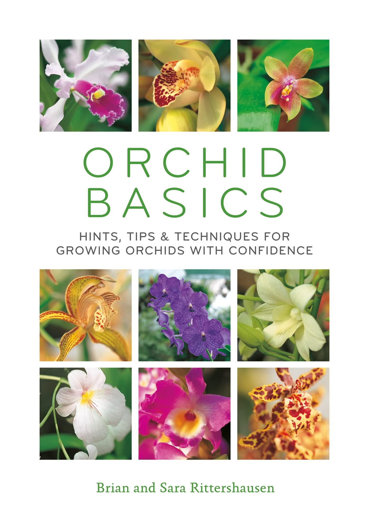 Orchid Basics: Hints, tips & techniques to growing orchids with confidence,New