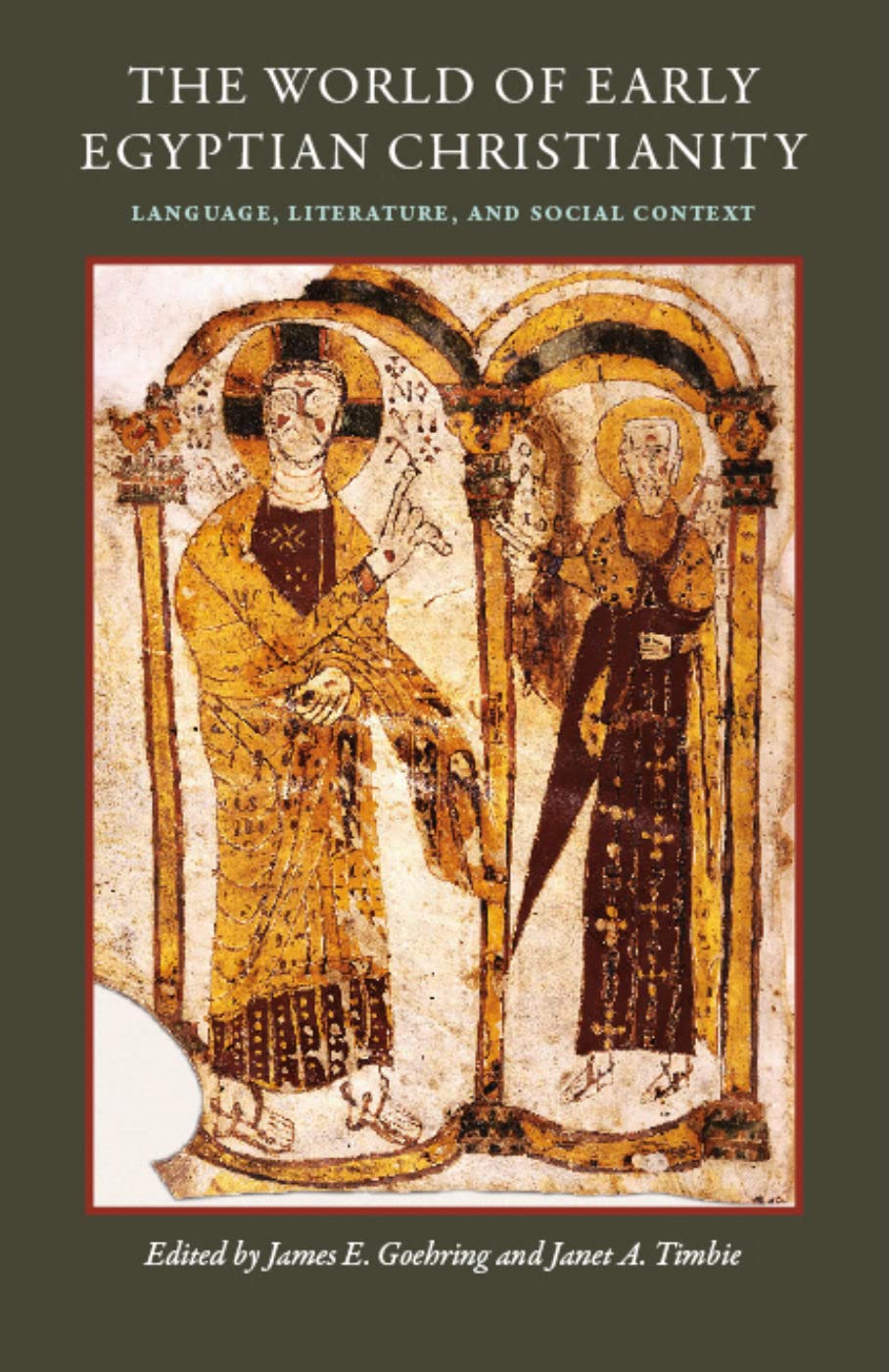 The World Of Early Egyptian Christianity: Language, Literature, And Social Context (Cua Studies In Early Christianity),Used