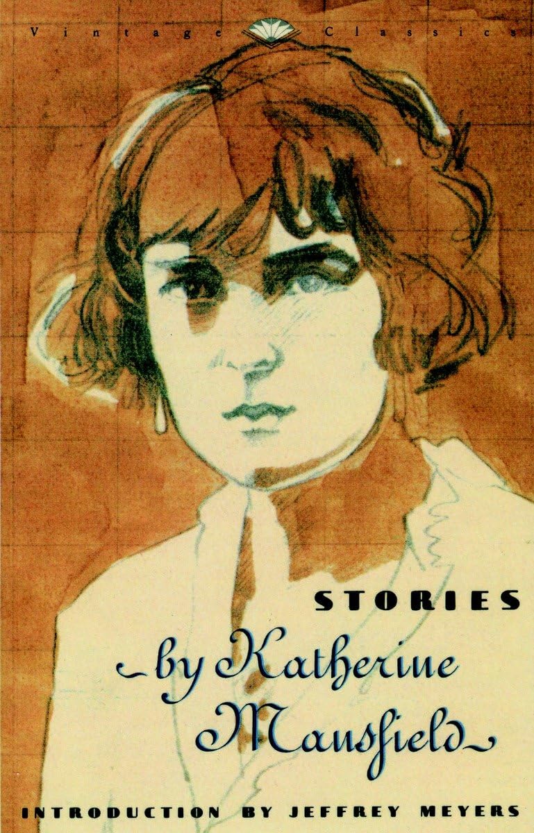 Stories (Vintage Classics),Used