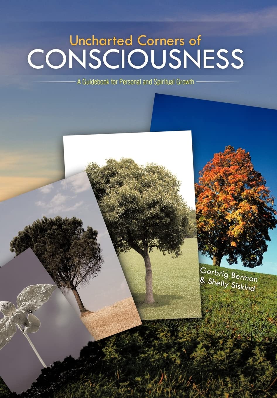 Uncharted Corners Of Consciousness: A Guidebook For Personal And Spiritual Growth,Used