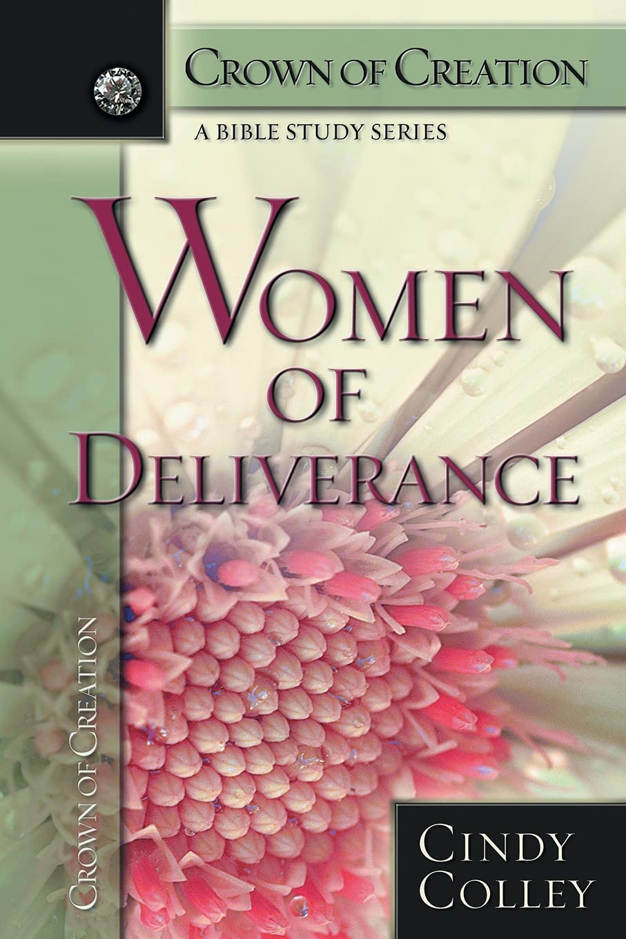 Women of Deliverance (Crown of Creation: A Bible Study Series),Used