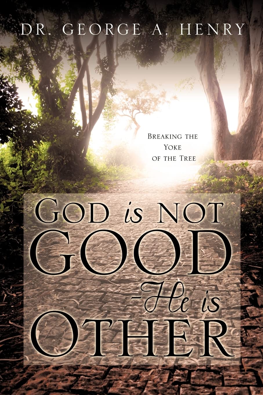 God is not Good  He is Other,Used