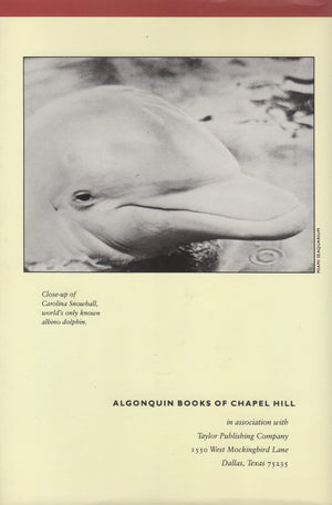 Behind the Dolphin Smile,Used