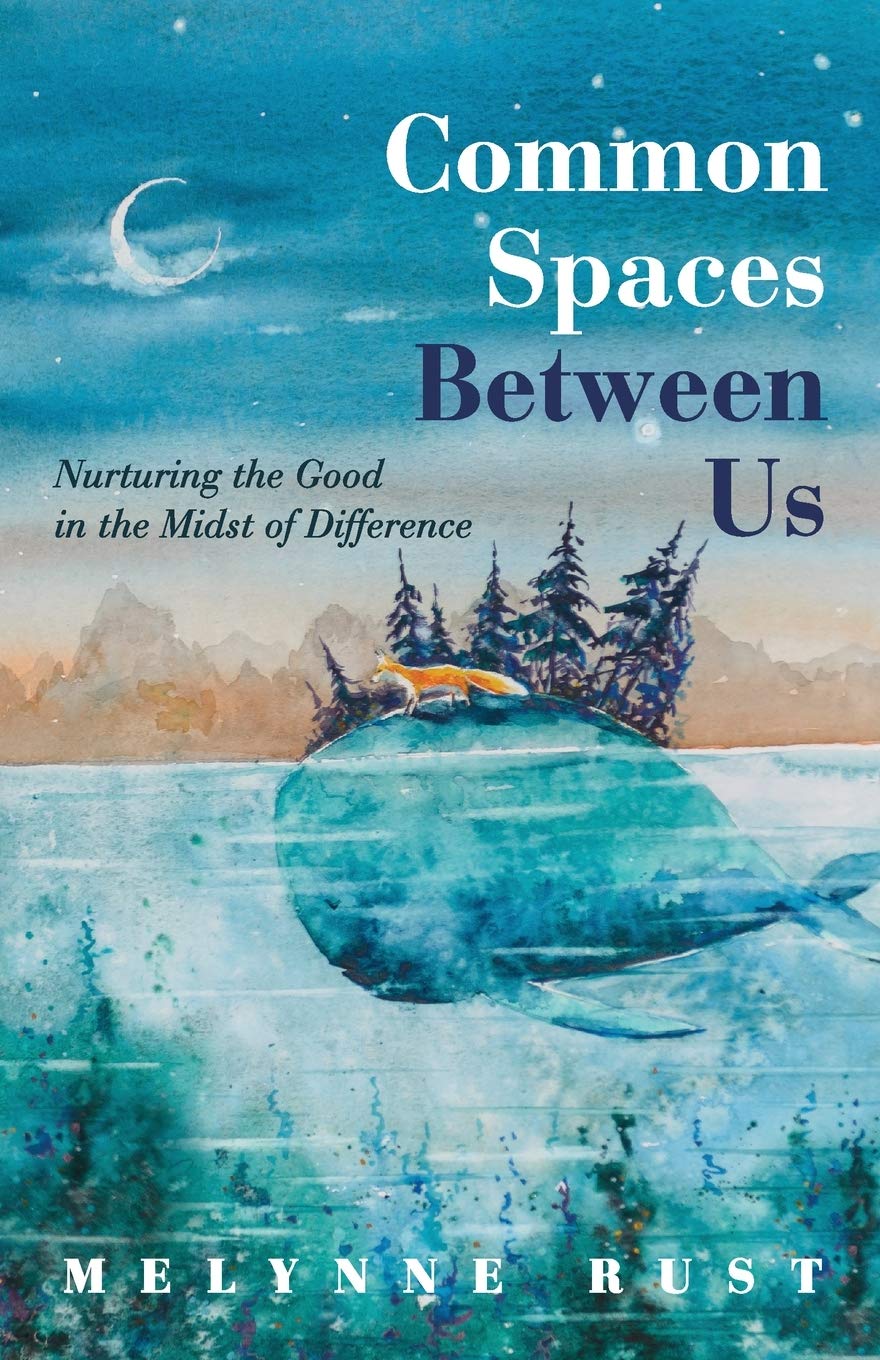 Common Spaces Between Us: Nurturing the Good in the Midst of Difference,Used