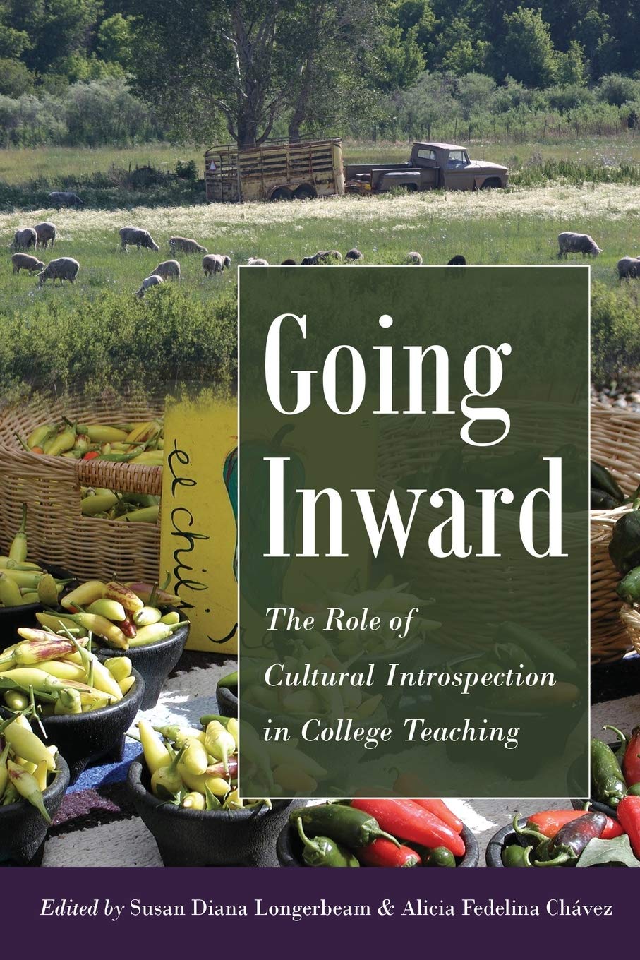 Going Inward: The Role of Cultural Introspection in College Teaching (Higher Ed),Used