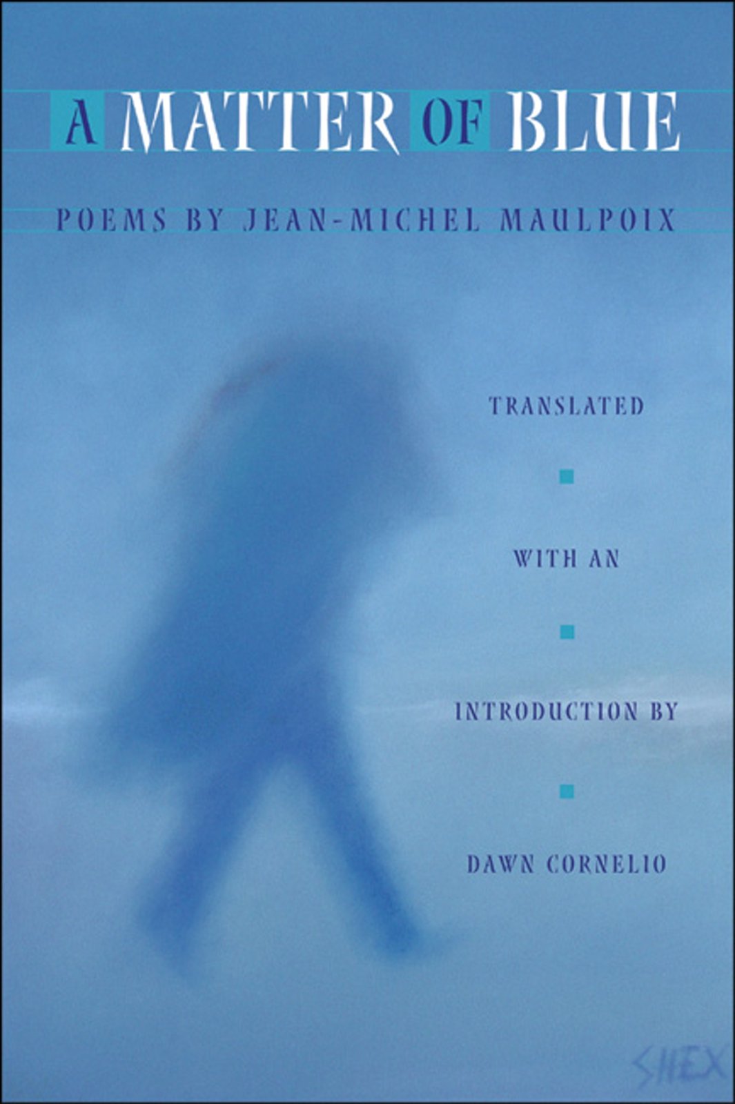 A Matter of Blue (Lannan Translations Selection Series) (French Edition),Used