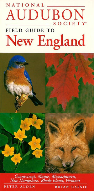 National Audubon Society Field Guide To New England: Connecticut, Maine, Massachusetts, New Hampshire, Rhode Island, Vermont (Na,New