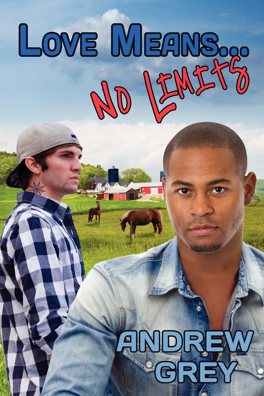 Love Means... No Limits (9) (Love Means... Series),Used