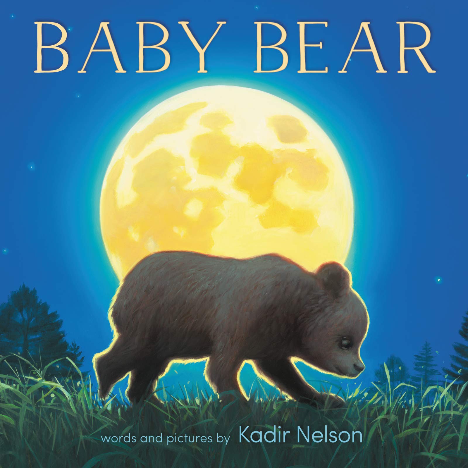 Baby Bear Board Book,Used