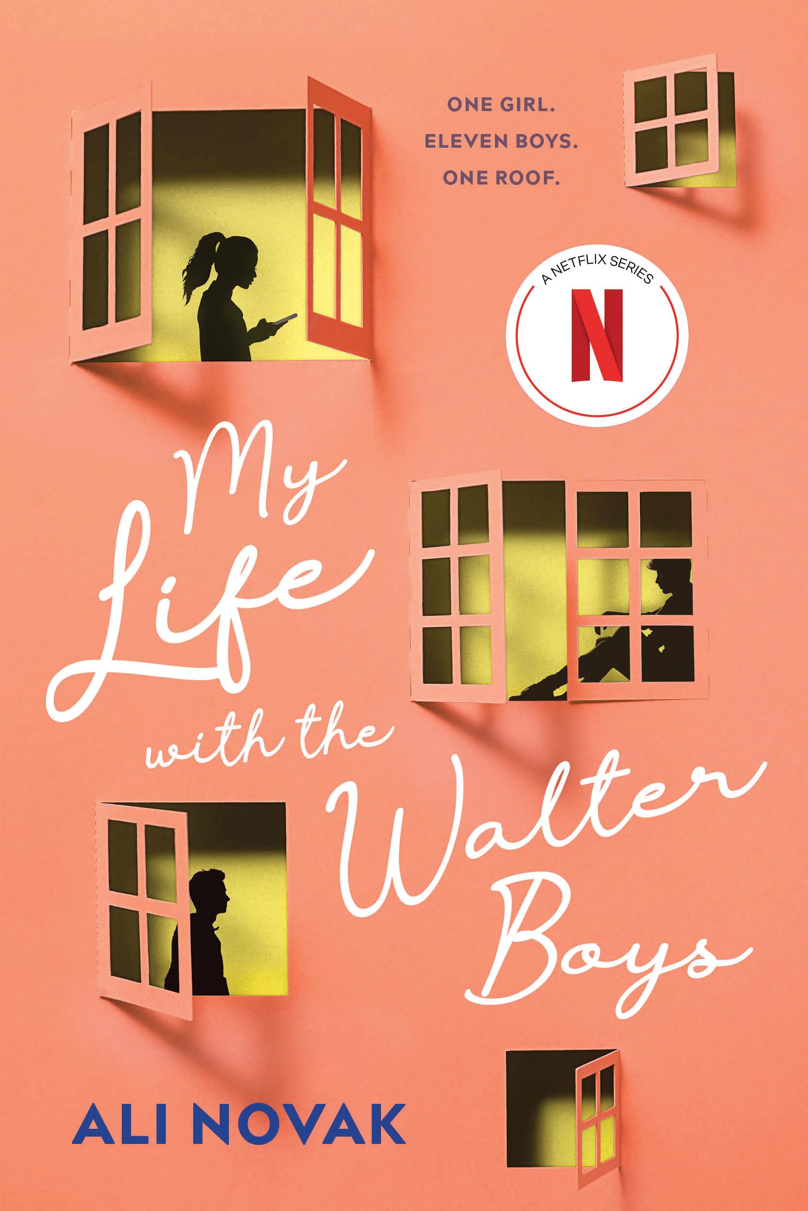 My Life with the Walter Boys,Used