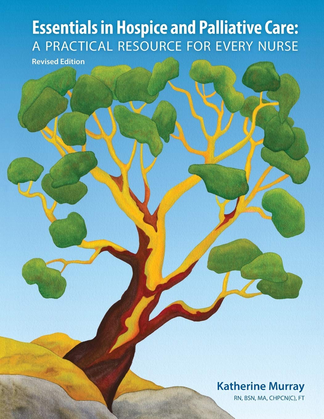 Essentials in Hospice and Palliative Care: A Practical Resource For Every Nurse,Used