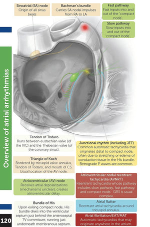 Boston Children's Hospital Cardiac ICU Manual For Bedside Providers  an illustrated handbook of congenital heart disease,New