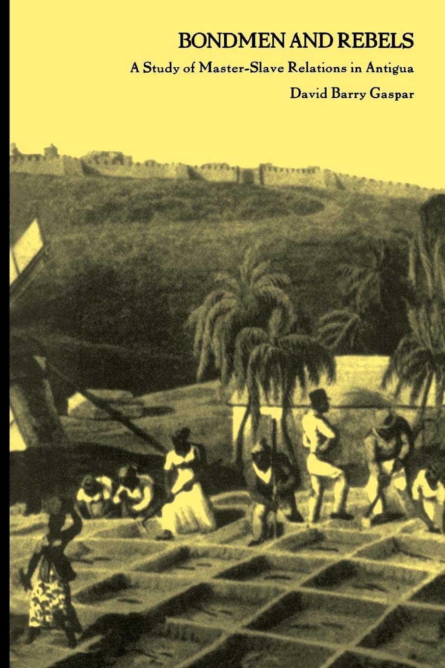 Bondmen And Rebels: A Study Of Masterslave Relations In Antigua,Used