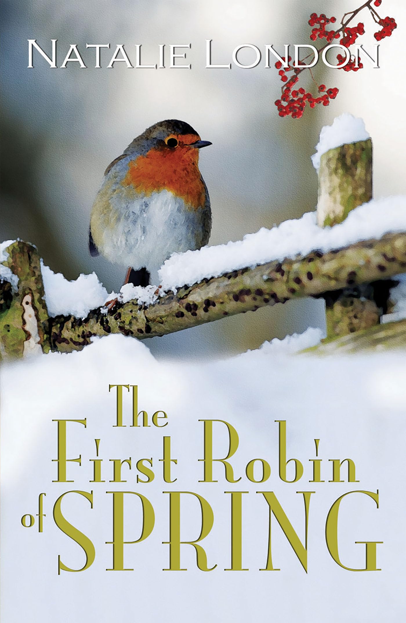 First Robin Of Spring,Used