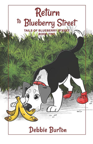 Return to Blueberry Street (Tales of Blueberry Street),Used