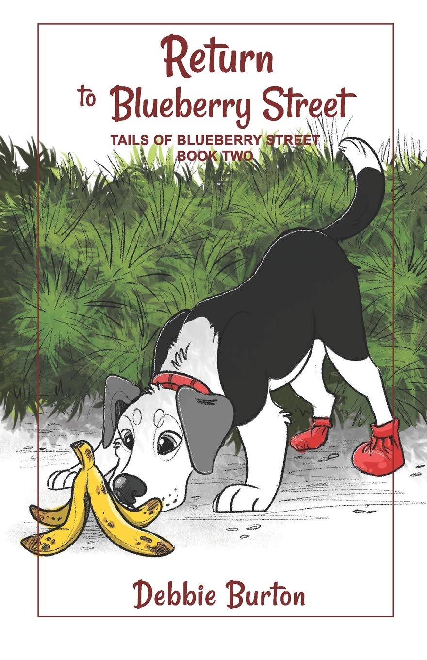 Return to Blueberry Street (Tales of Blueberry Street),Used