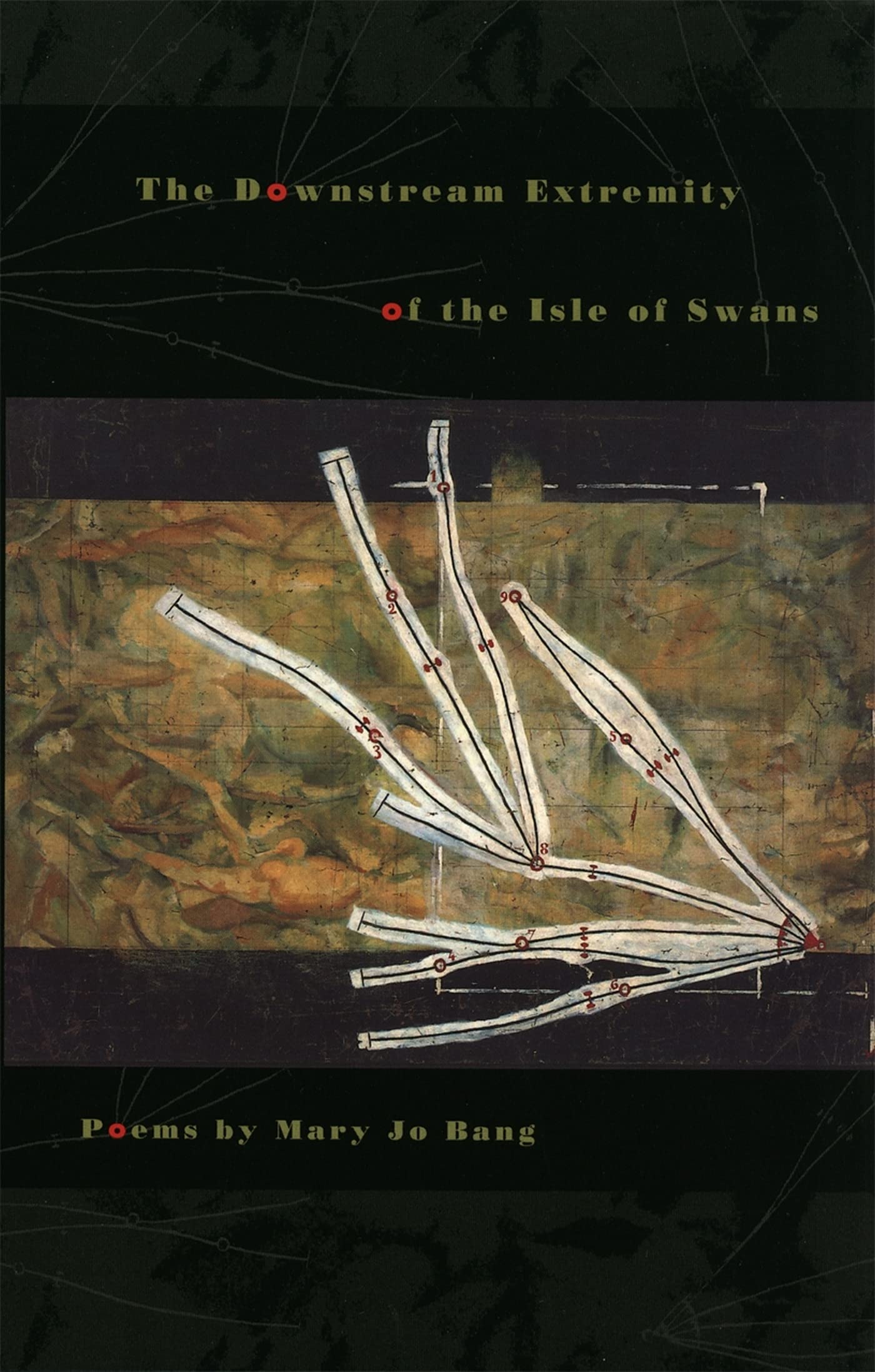 The Downstream Extremity of the Isle of Swans: Poems (The Contemporary Poetry Ser.),Used