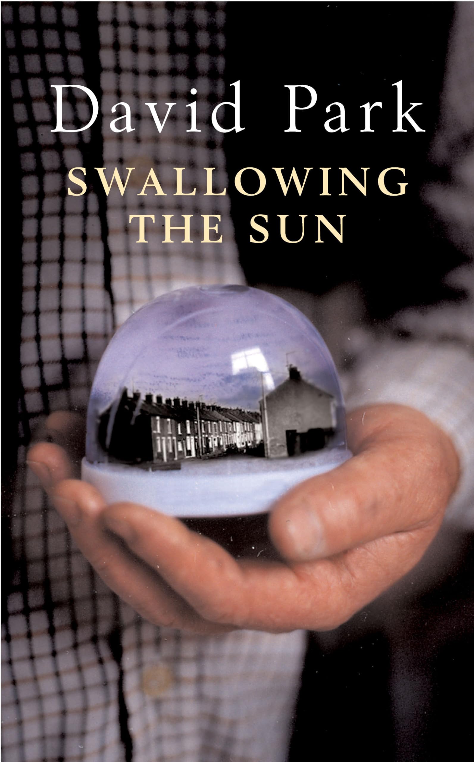 Swallowing the Sun