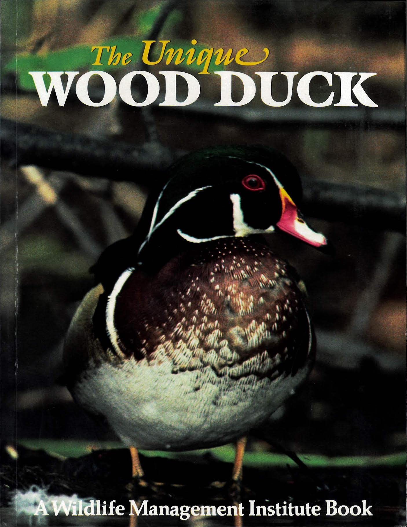 The Unique Wood Duck: Tableau Of A Field Trip With Frank Bellrose And Scott Nielsen-new