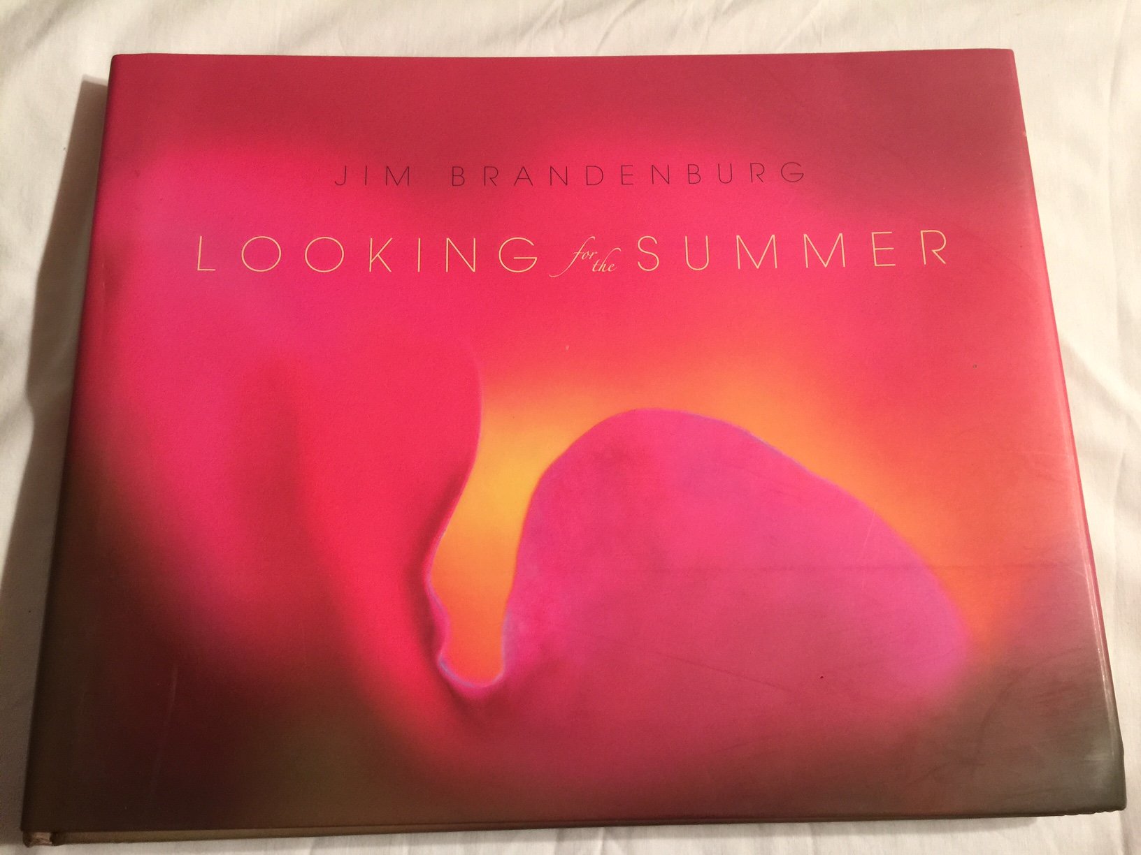 Looking for the Summer,Used