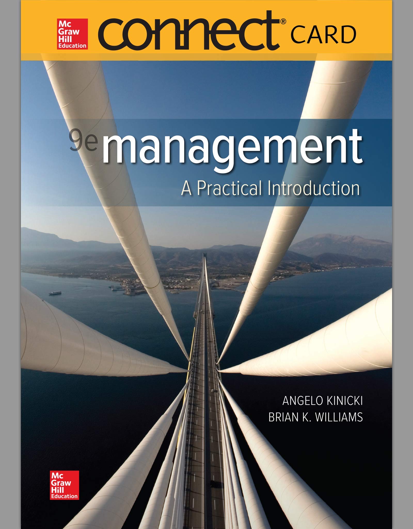 Connect Access Card for Management: A Practical Introduction,Used