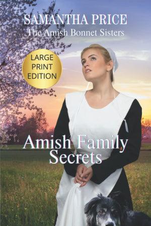 Amish Family Secrets (The Amish Bonnet Sisters),Used