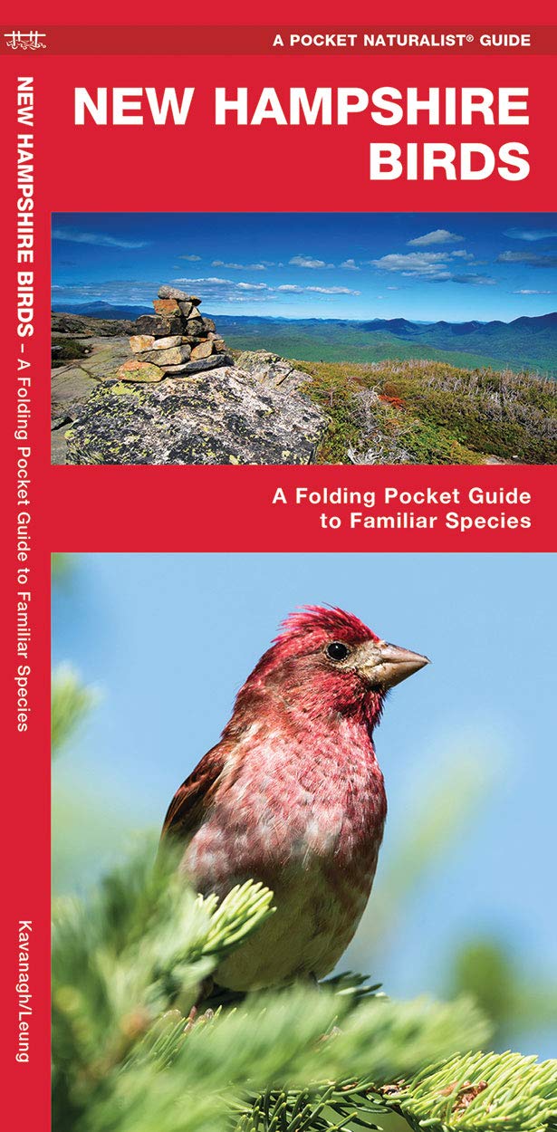 New Hampshire Birds: A Folding Pocket Guide to Familiar Species (Wildlife and Nature Identification),Used