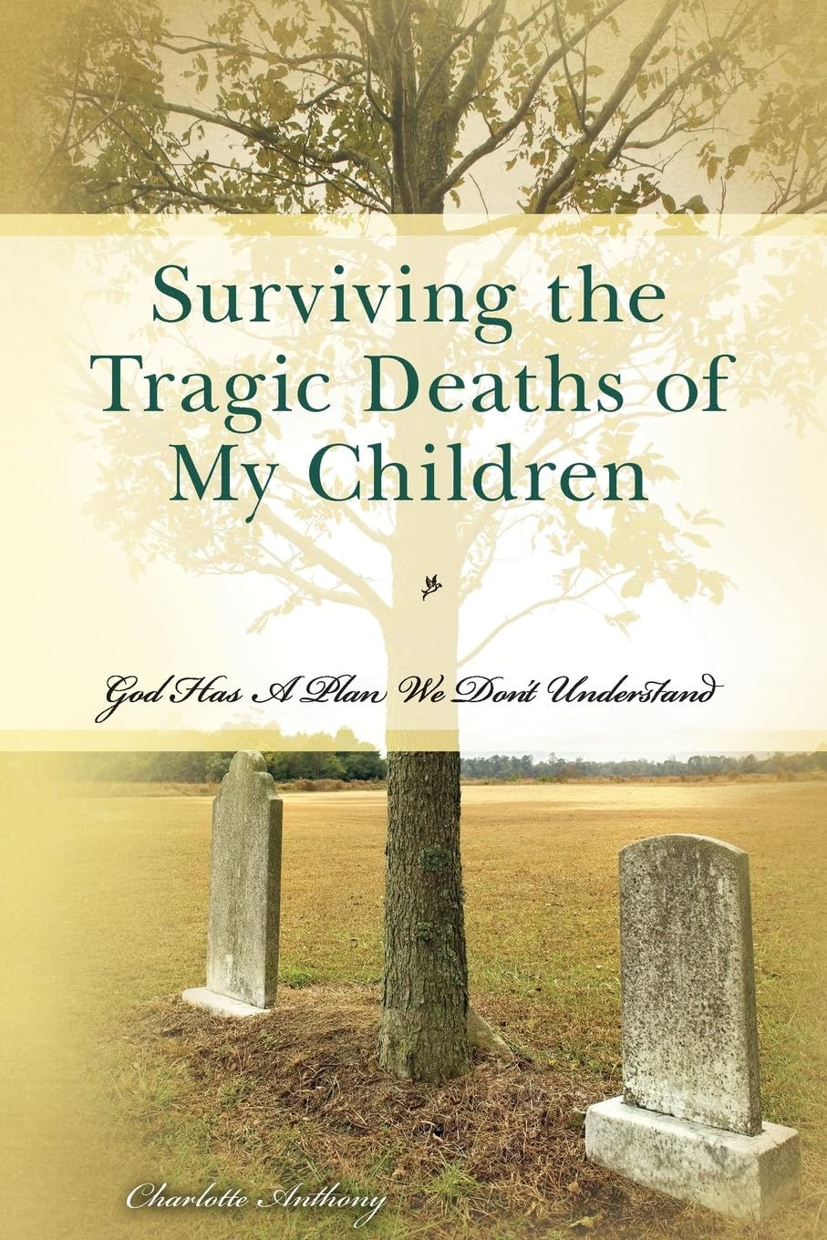 Surviving the Tragic Deaths of My Children: God Has A Plan We Don't Understand,Used