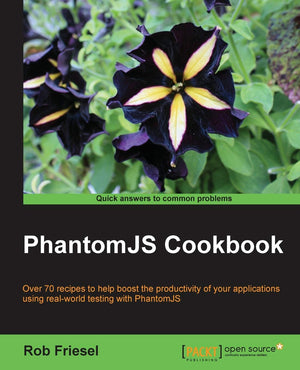 Phantomjs Cookbook,Used