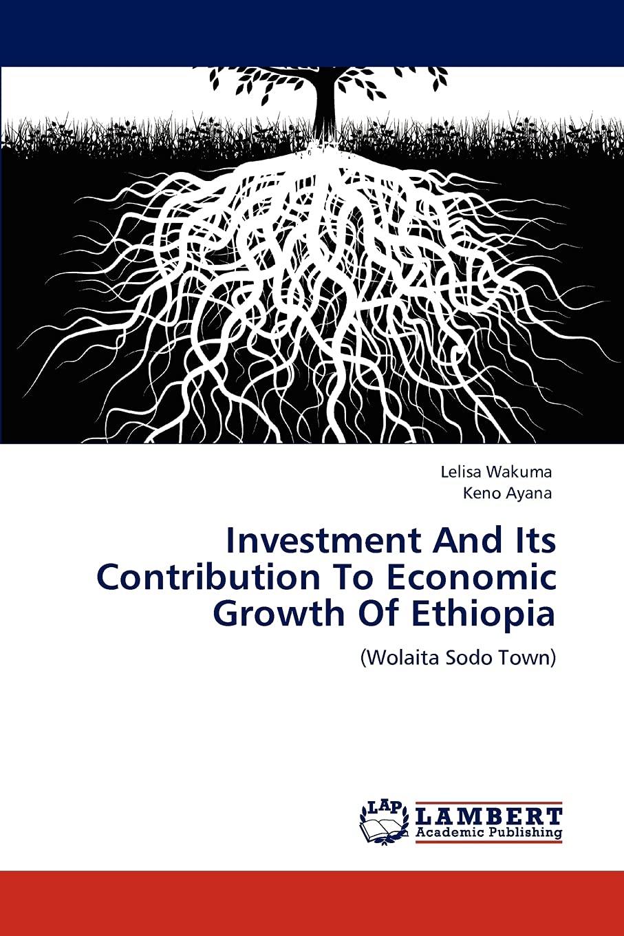 Investment And Its Contribution To Economic Growth Of Ethiopia: (Wolaita Sodo Town),Used