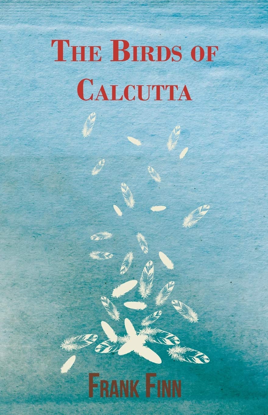 The Birds of Calcutta,Used