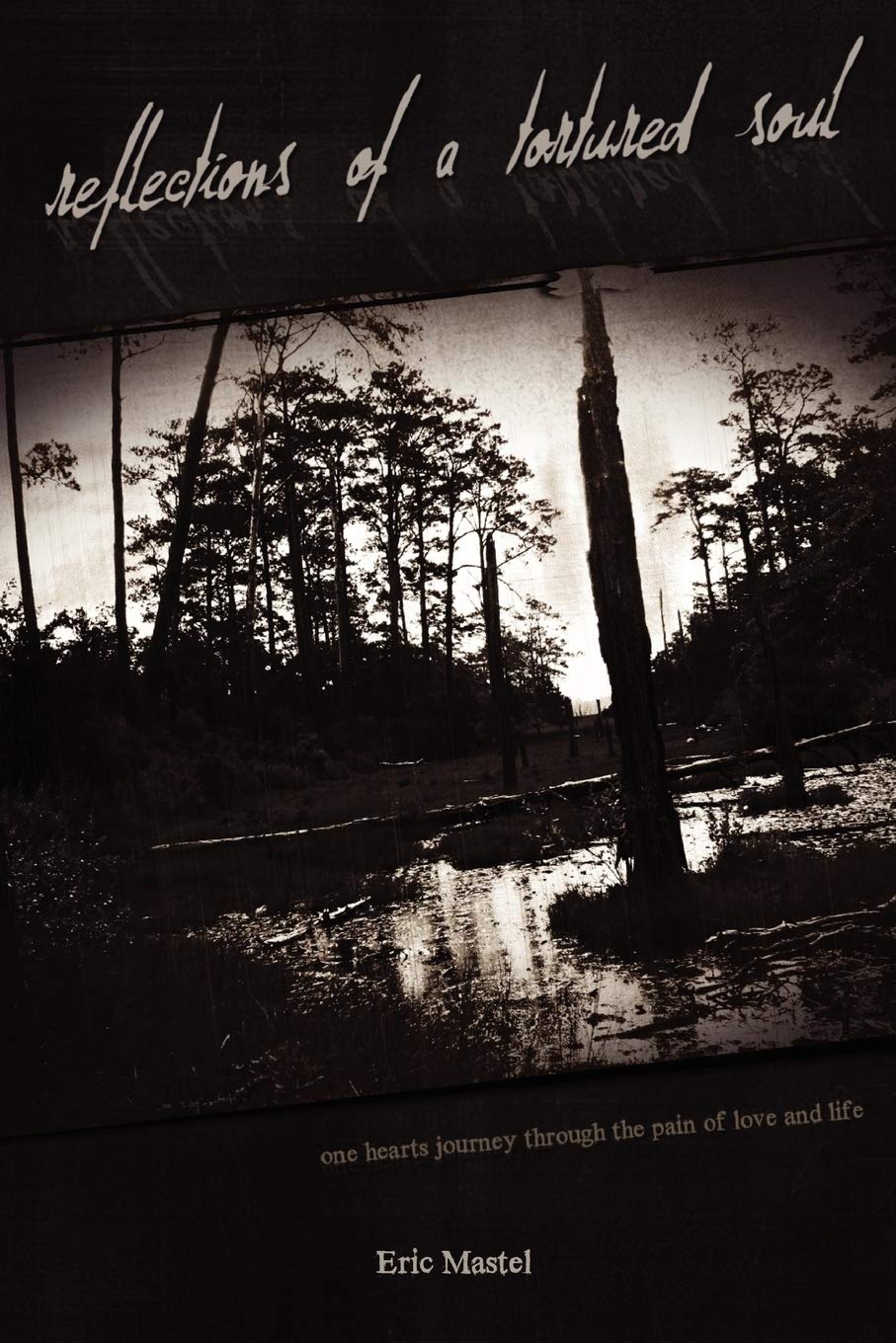 Reflections of a Tortured Soul,Used
