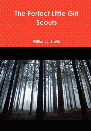 The Perfect Little Girl Scouts,Used