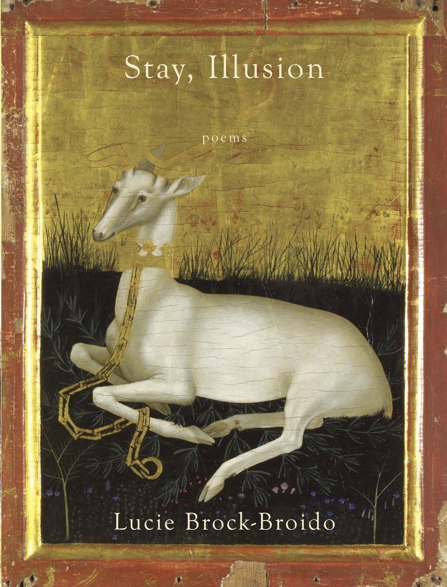 Stay, Illusion: Poems,Used