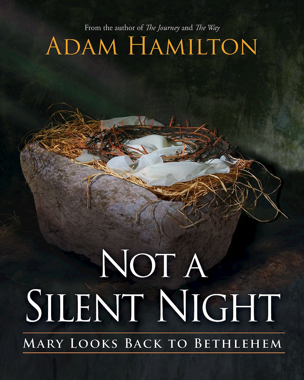 Not a Silent Night: Mary Looks Back to Bethlehem (Not a Silent Night Advent series),New