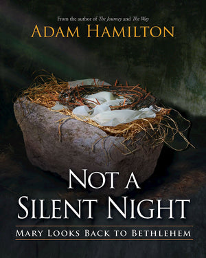 Not a Silent Night: Mary Looks Back to Bethlehem (Not a Silent Night Advent series),Used