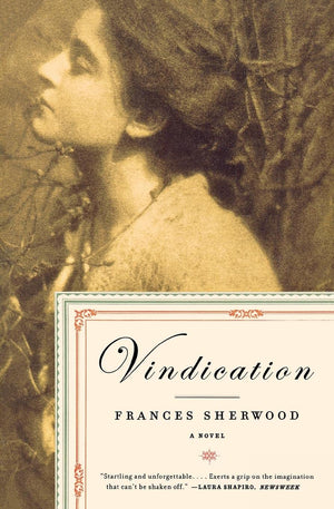 Vindication: A Novel,Used