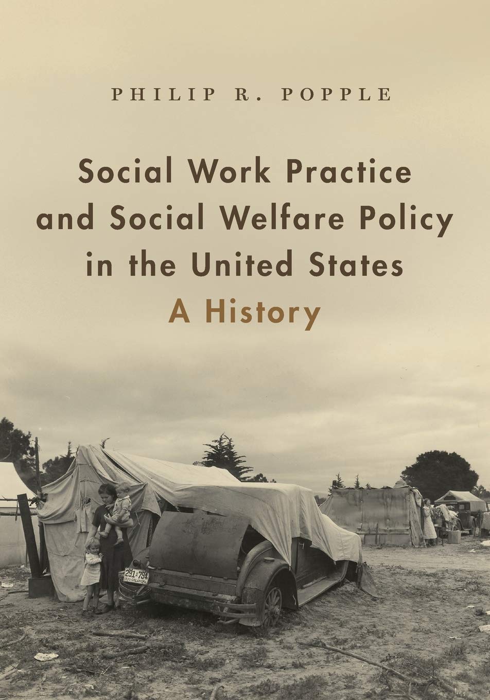 Social Work Practice and Social Welfare Policy in the United States: A History,Used