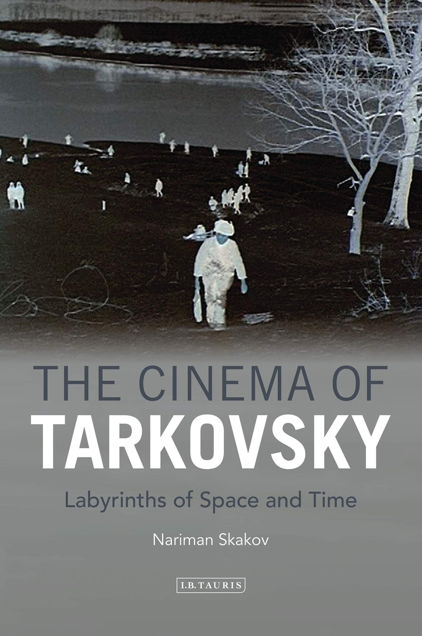 The Cinema of Tarkovsky: Labyrinths of Space and Time (KINO  The Russian and Soviet Cinema),Used