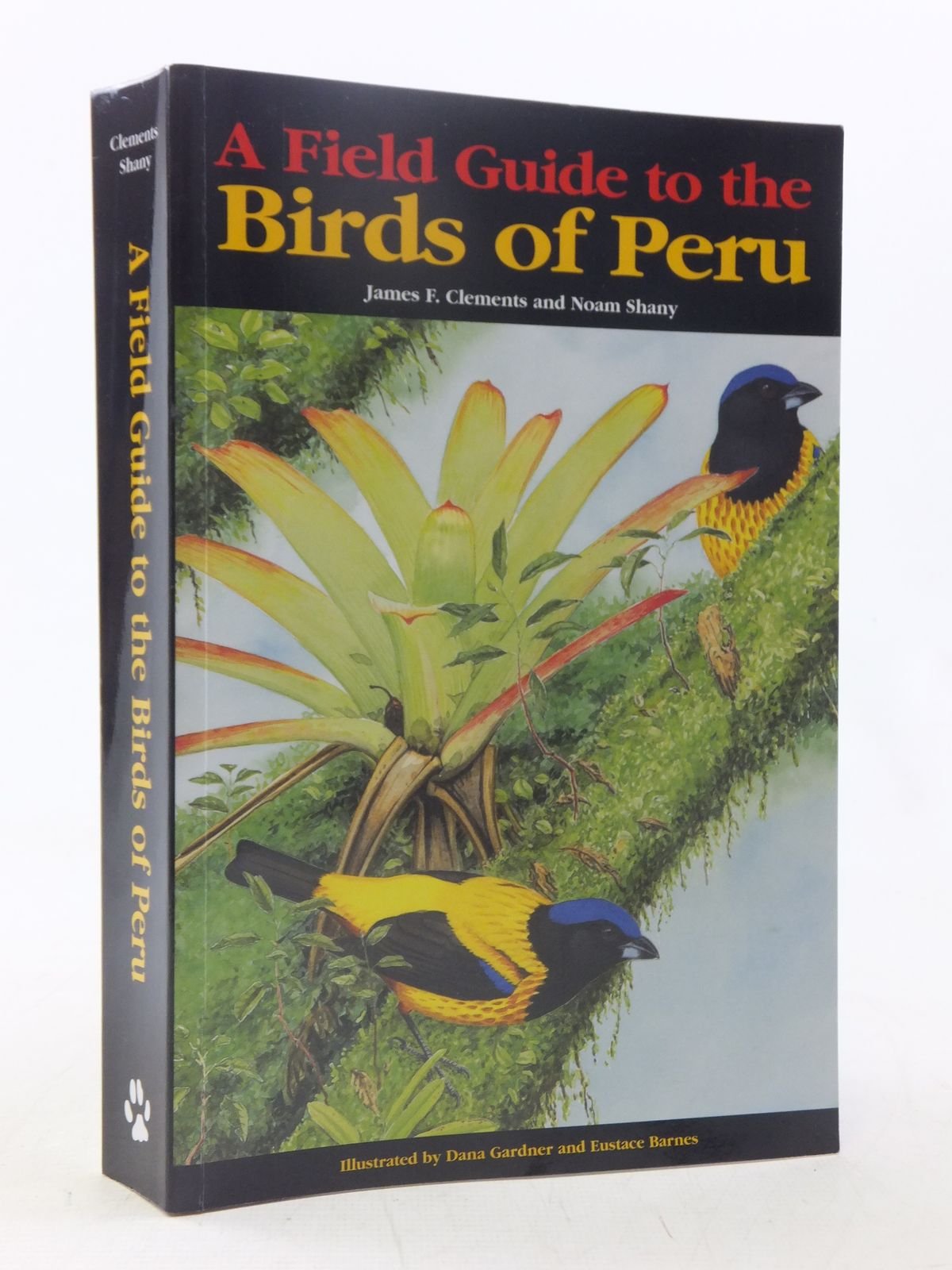 A Field Guide To The Birds Of Peru