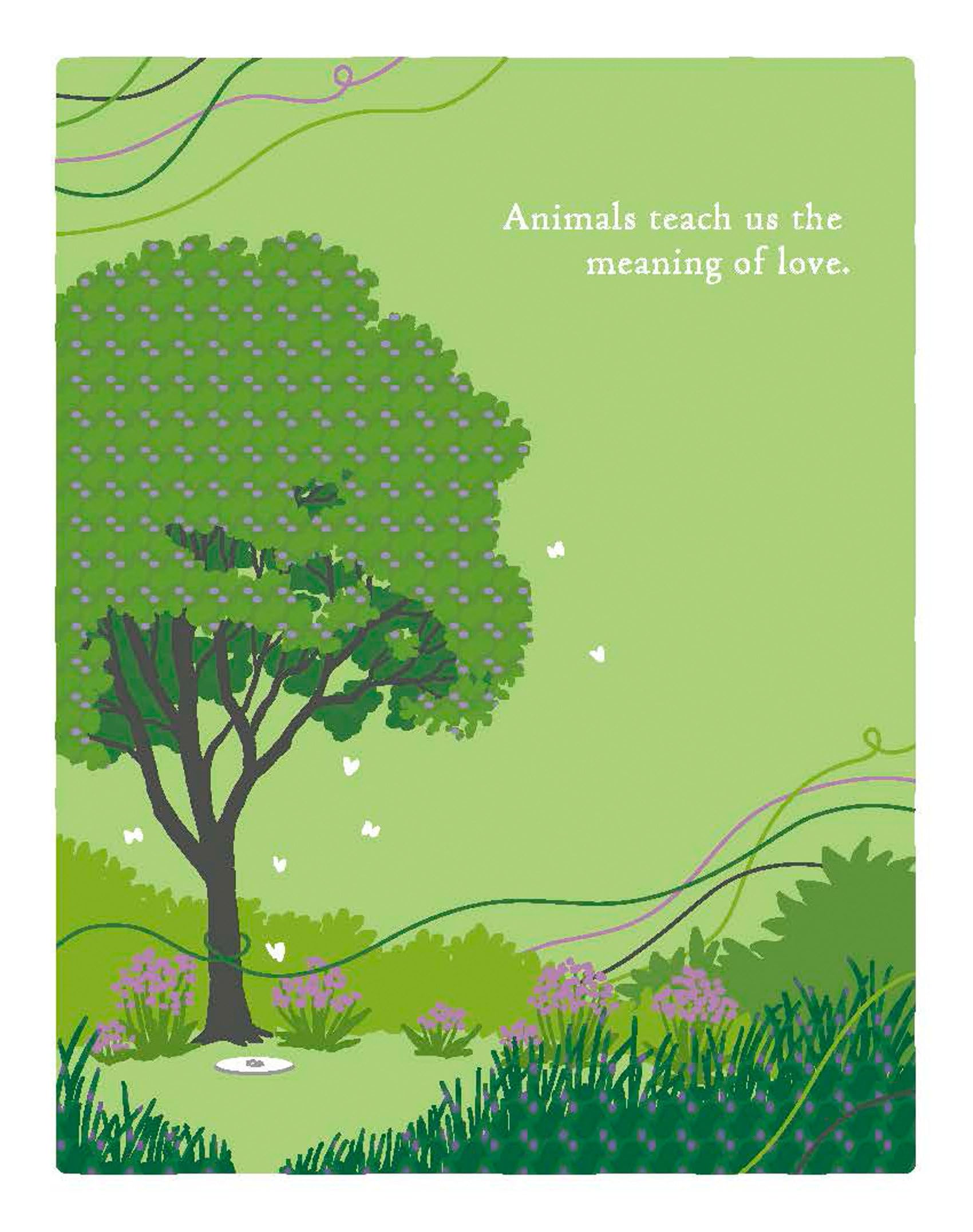 Positively Green Greeting Cards: Pet Sympathy  Animals Teach Us The Meaning Of Love (Pack Of 6)