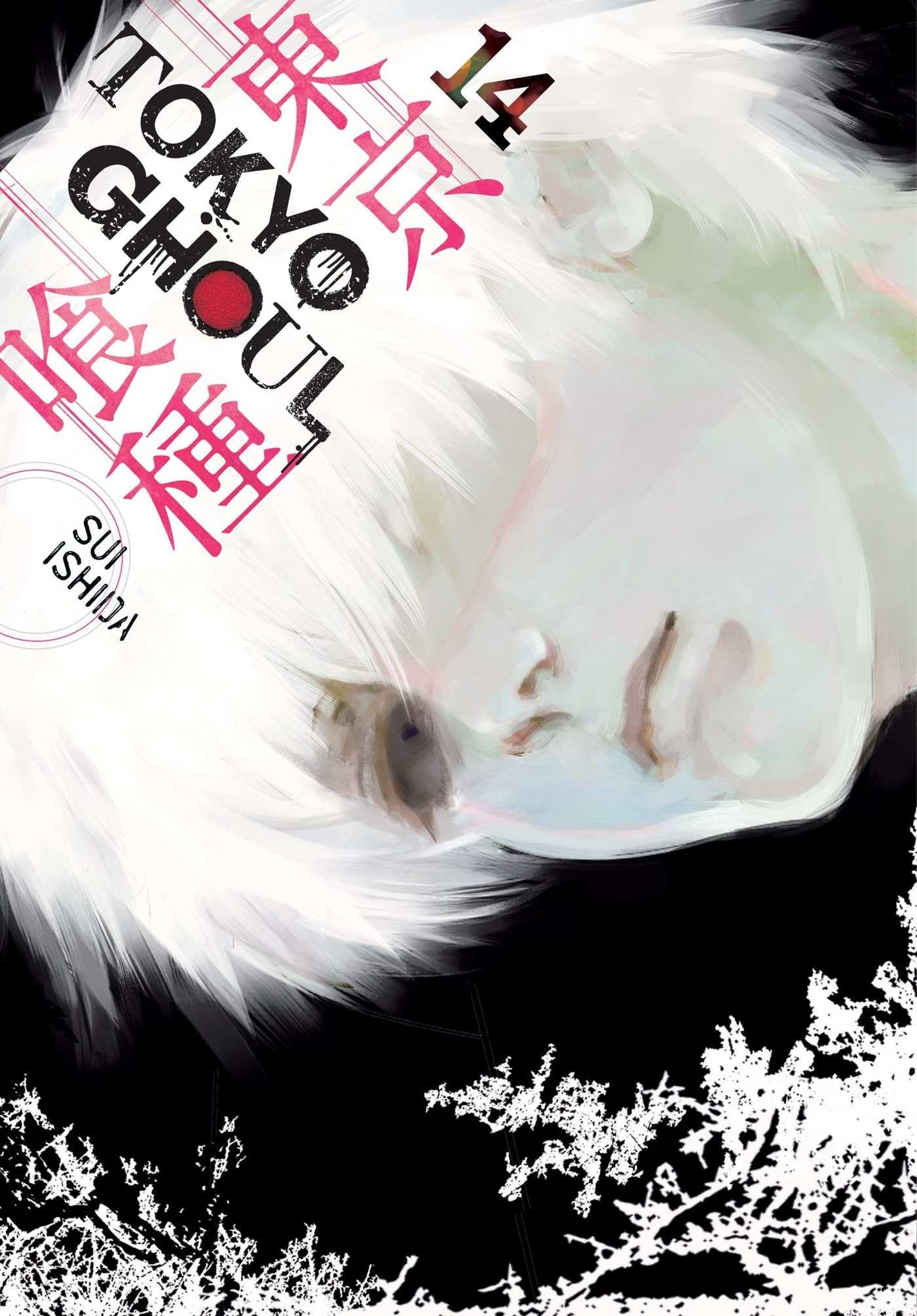 Tokyo Ghoul, Vol. 14 (14),New