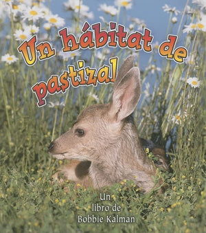 Un Hbitat de Pastizal (a Grassland Habitat) (Introduccin a Los Hbitats (Introducing Habitats)) (Spanish Edition),Used